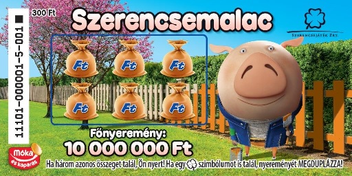 Szerencsemalac_20180111.jpg