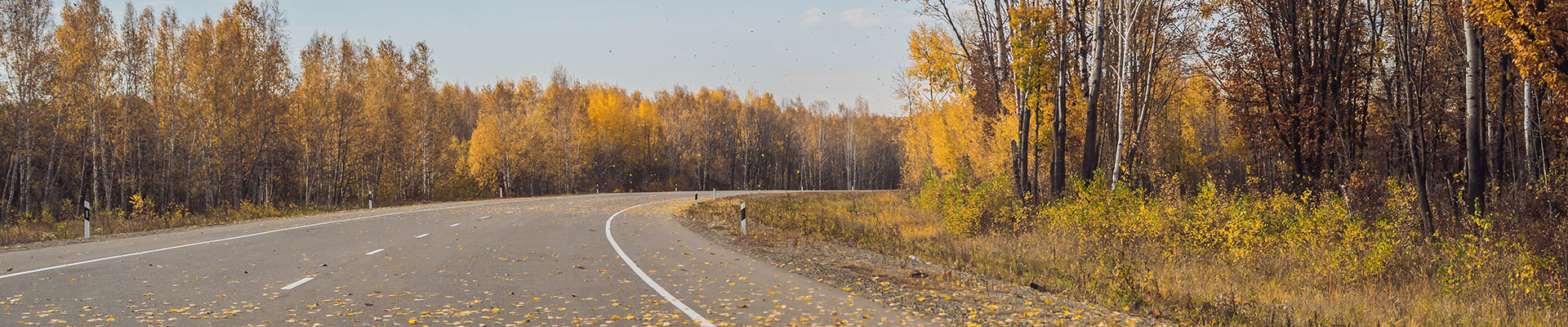 banner-long-format-1920x400px