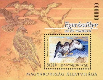 egereszolyv_1