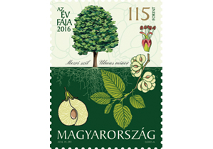 A képen a az év fája 2016: mezei szil bélyeg látható